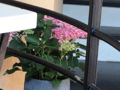 -本味轩精品茶餐厅(黄山路店)