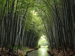 -同里国家湿地公园