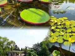 -国家植物园