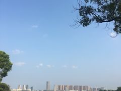 -皖北巫氏三胖地锅鸡(长淮总店)