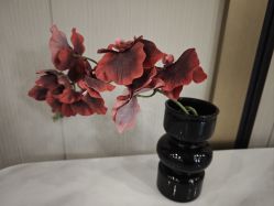 点击看大图 -安琪朵朵独栋花园月子中心