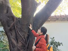 -东莞市可园博物馆