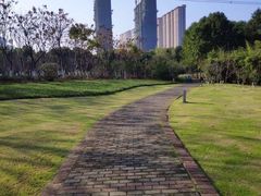 -九里河湿地公园