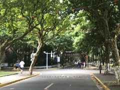 -复旦大学本部-食堂