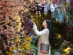 -正佳雨林生态植物园