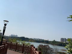 -立新湖公园
