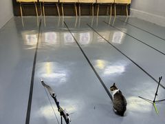 -蓝天射箭馆·专业射箭运动(诚丰广场店)