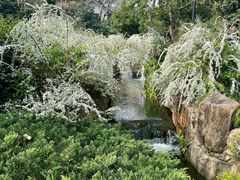 -中国茶叶博物馆(双峰馆区)