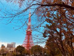 -东京塔海贼王主题公园
