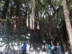 -胡里山炮台