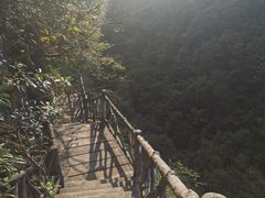 -千岛湖石林