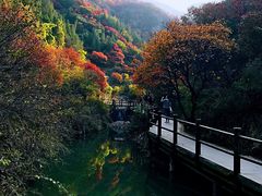 -黄花溪
