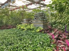-南宫五洲植物乐园