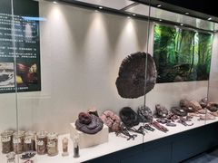 -广东中医药博物馆