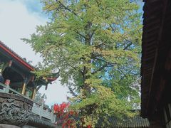 -金堂县云顶石城风景区