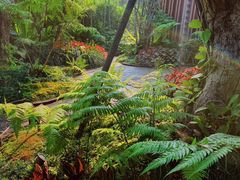 -Chom Cafe and Restaurant