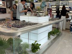 -中国丹阳眼镜城