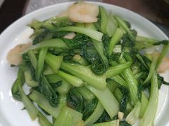 -渡海小渔村.老辈日照菜
