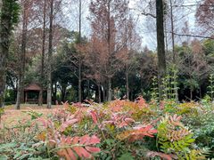 -金山公园
