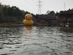 -清境桃源