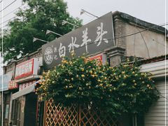 -洪记白水羊头(留学路店)