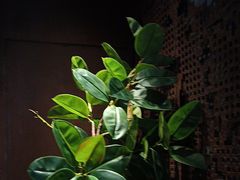 -穿越·外婆家(西溪天堂店)