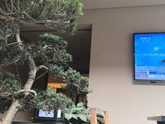 -华冠悠岚·庭院餐厅(青城后山店)