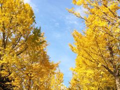 -苏州河梦清园环保主题公园