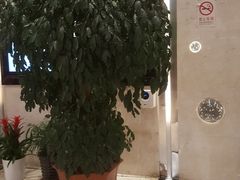 -裕龙汤泉