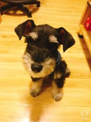 -痣斑堂·取大痣