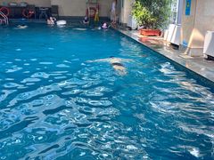 -海河假日酒店·游泳馆