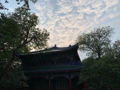 -灵谷景区
