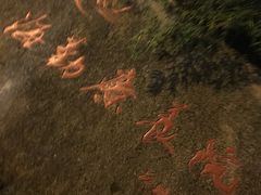 -杭州海军疗养院体检中心