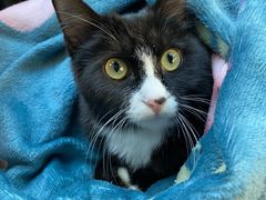 -北京赛佳动物医院