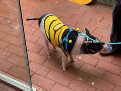 -About Bistro關於·泰式家庭料理