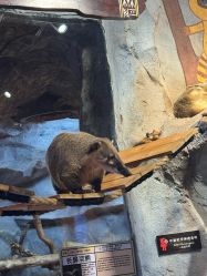 -Zoolung Zoolung动物主题公园(海信广场店)