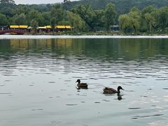 -承德避暑山庄景区