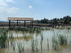 -漩门湾国家湿地公园