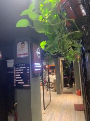 -藤野造型