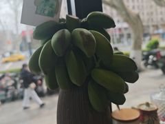 -囿面传统制面馆(中央路店)