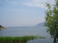 -才村湿地公园