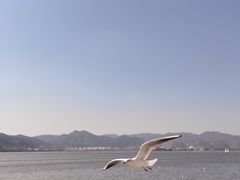 -滇池海埂公园