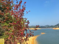 -广州市流溪河国家森林公园