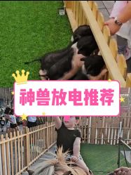 -萌宠亲子动物乐园(槐房万达店)