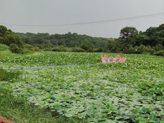 -大青沟风景区