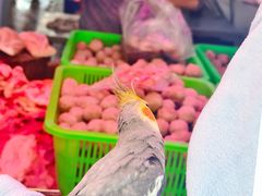 -阿娟牛肉丸·手打牛肉丸·现做现卖