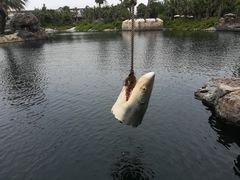 景点-上海迪士尼度假区