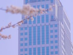 -西北湖绿化广场