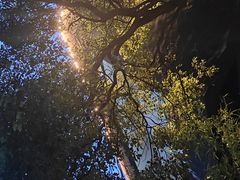 -福道