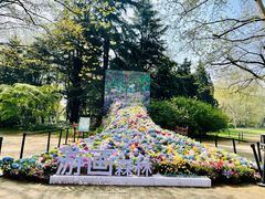 -上海共青森林公园